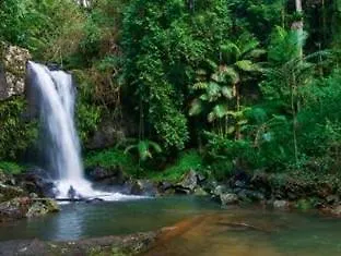 Amore Mt Tamborine Brisbane Bed & Breakfast