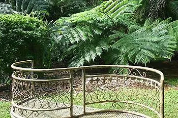 Amore Mt Tamborine Brisbane