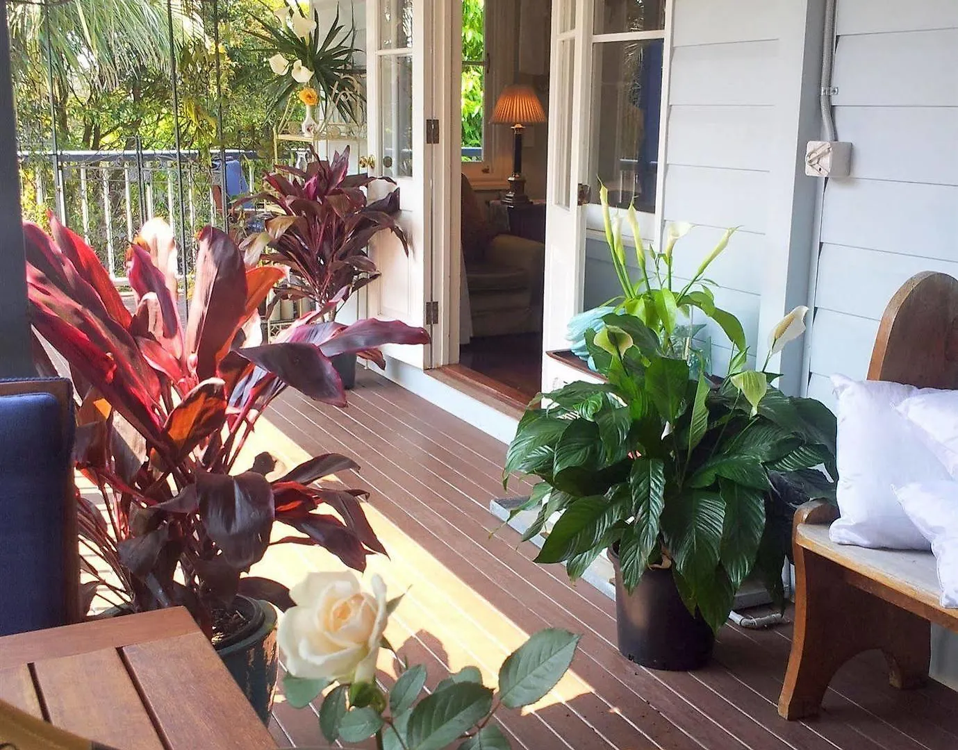 Amore Mt Tamborine Brisbane Bed & Breakfast